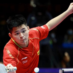 展现了出色 展现了出色